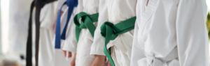 Taekwondo Youth and Adult Classes