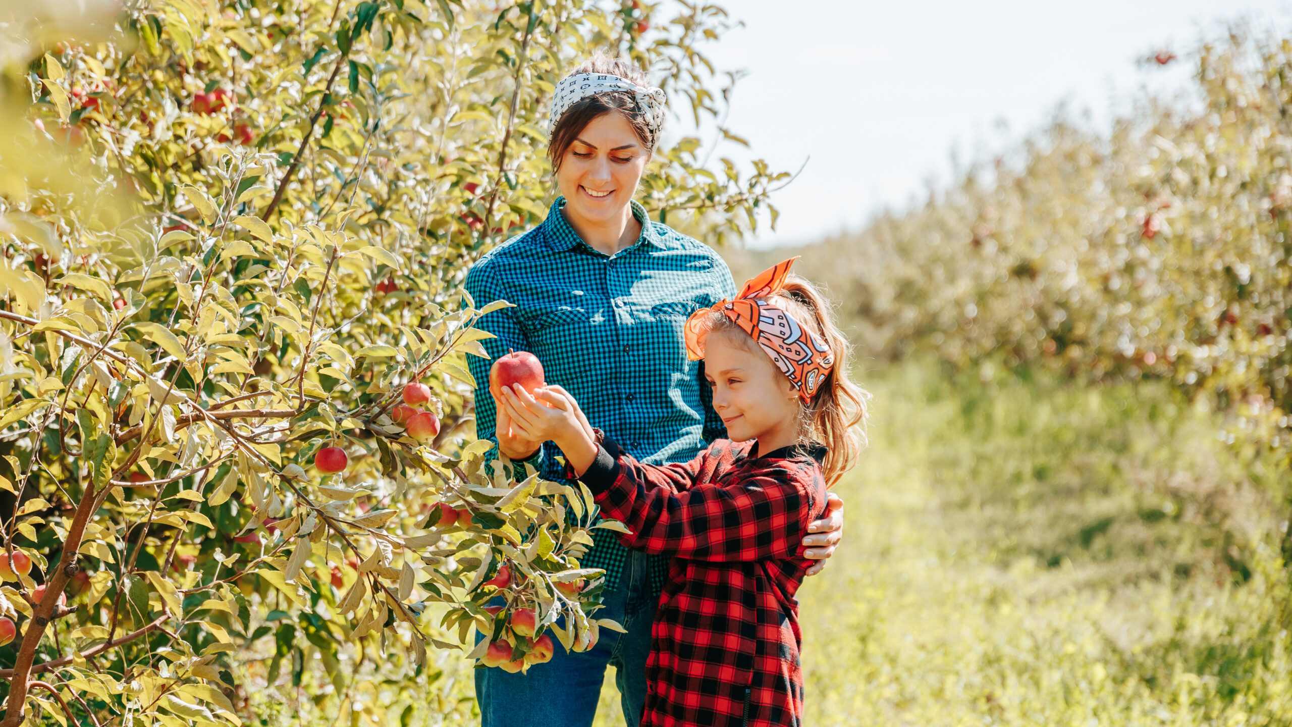 Young woman and young girl picking an apple from a tree.