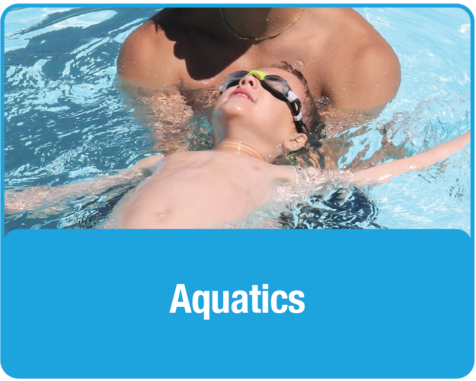 Aquatics (button)
