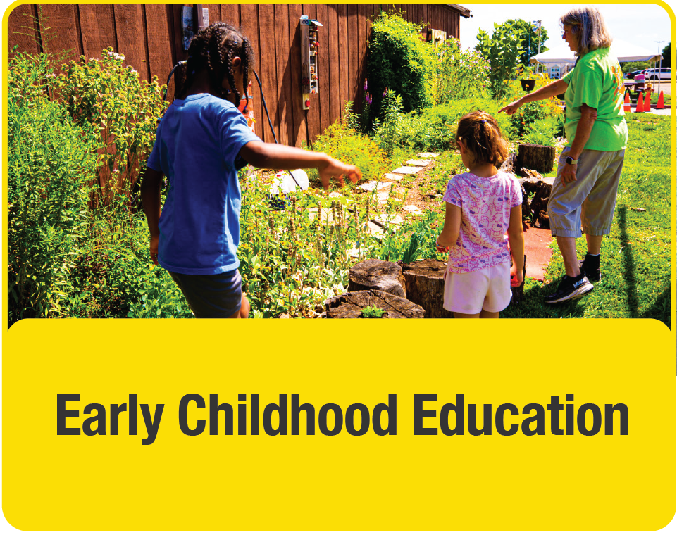 Early Childhood Education (button)
