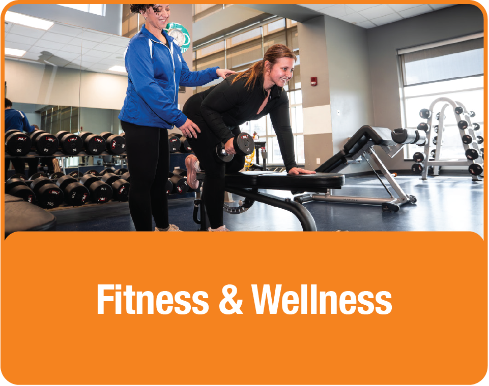 Fitness & Wellness (button)